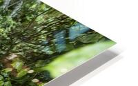 Eau HD Metal print