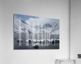 Convictroadkill Acrylic Print