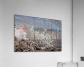 MonoLakeWhiteBrush Acrylic Print