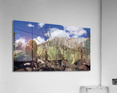 Cactus Laurel Mountain Acrylic Print