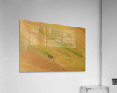 Spider Grass  Acrylic Print