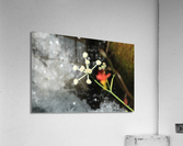 Ranger Button Acrylic Print
