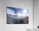 snowsunsage Acrylic Print