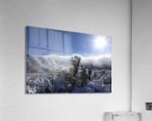 sagesnow Acrylic Print