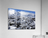 sagesnowmorrison Acrylic Print
