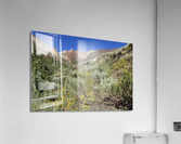 McGee Canyon Acrylic Print