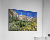IMG 0912 Acrylic Print