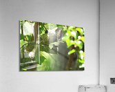 Humbirdnest Acrylic Print