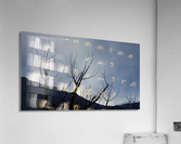 Ghost Trees  Acrylic Print