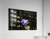 Penstemon Flower Acrylic Print