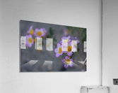 Desert flower Acrylic Print
