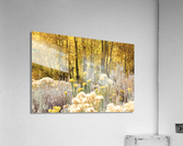 Fall Colors Acrylic Print