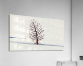 Ghost Tree Snow Acrylic Print