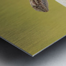 lizard Metal print