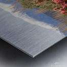 DesertPeachWhitesSnow Metal print