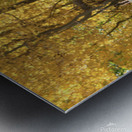 Fall Colors Metal print