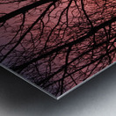 Tree Silhouette Sunset Metal print