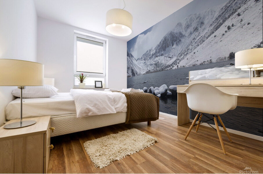 ConvictSnowPillows Mural print