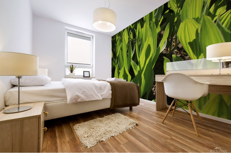 cornlillyalien Mural print