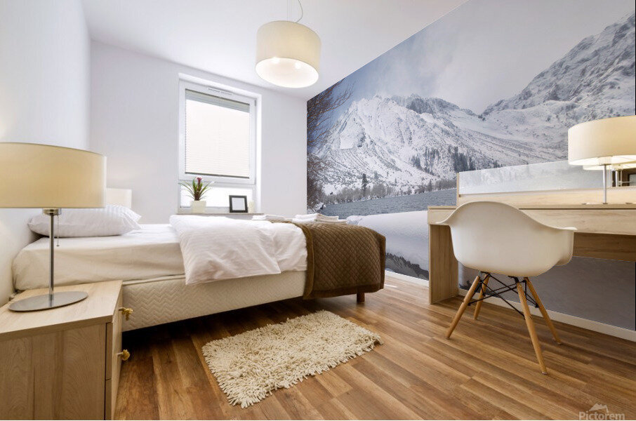 ConvictWinter Mural print