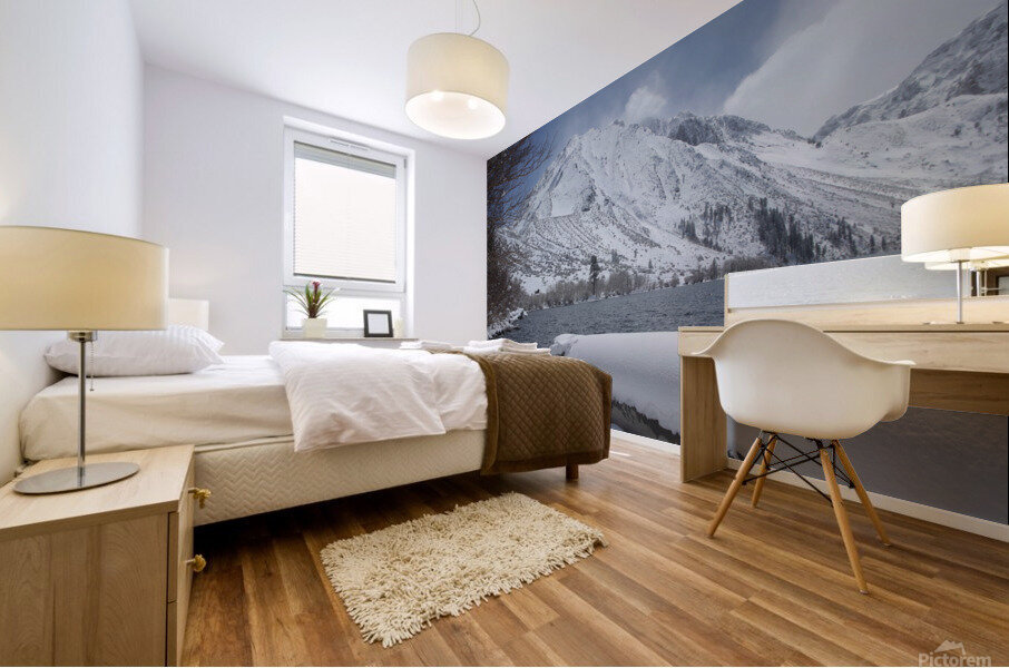 ConvictLkwinter Mural print