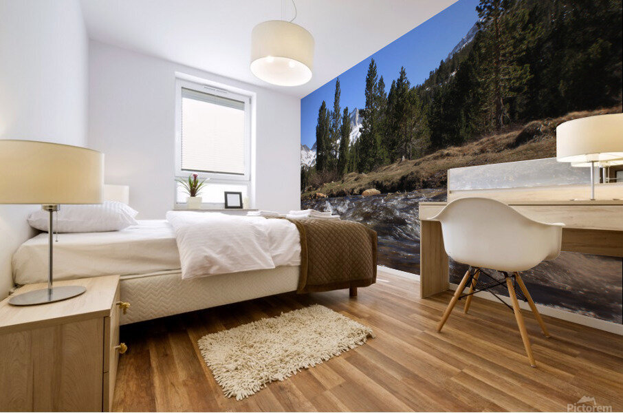 BearCrkSpireStream Mural print