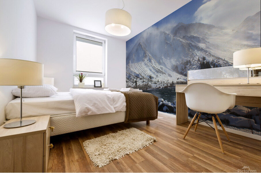 convictwinterroadkill Mural print