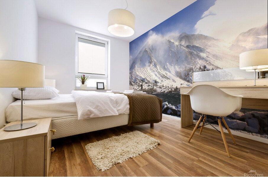 ConvictMorrisonwinter Mural print