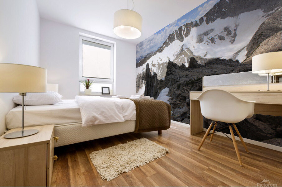 Mt. Conness  Mural print