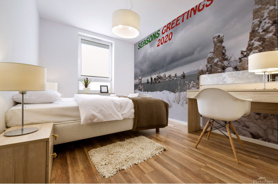 MonoLakeWinterStormcrop Mural print