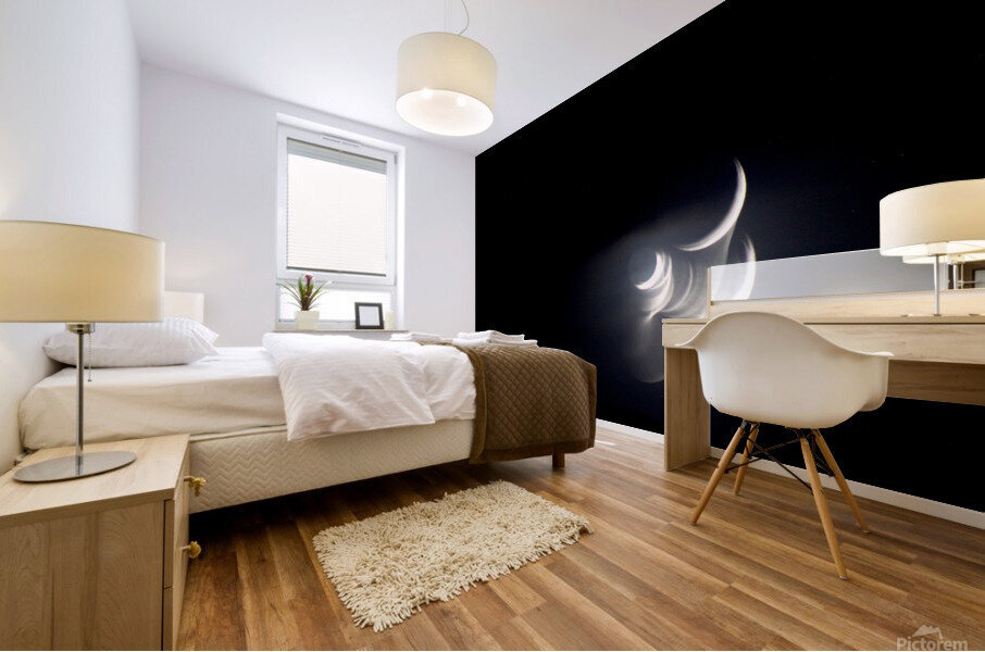 Moon Crescent Mural print