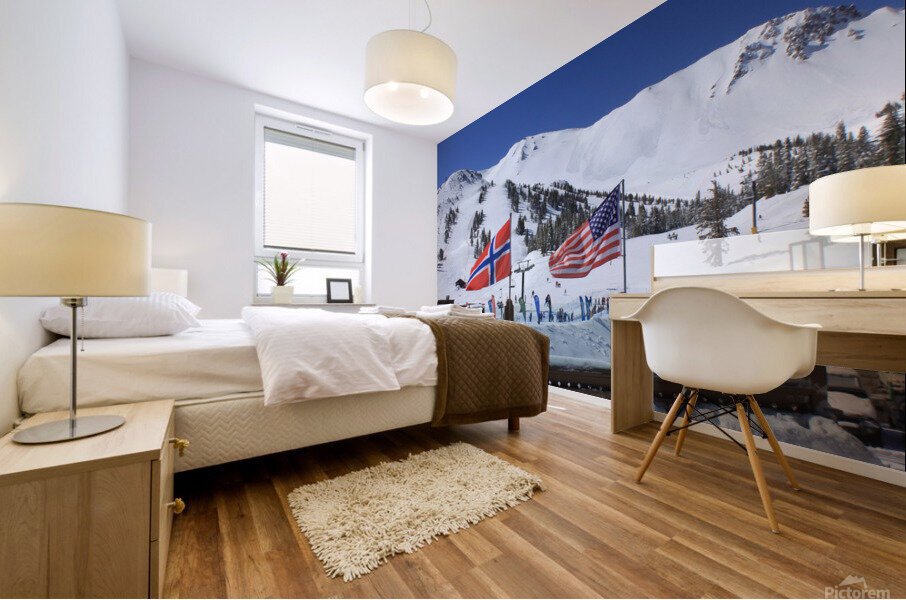 MMSAinndeck Mural print