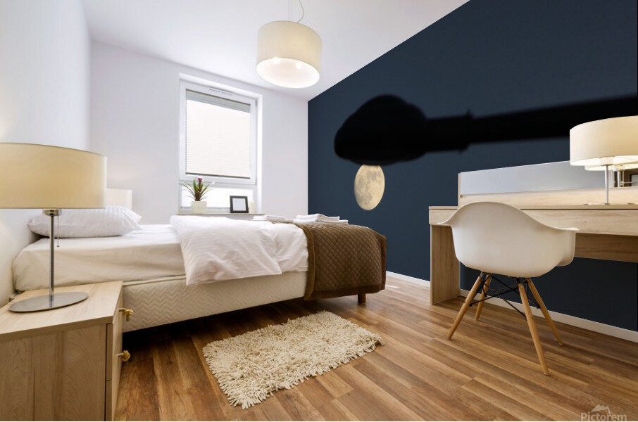 Moonlight Mural print