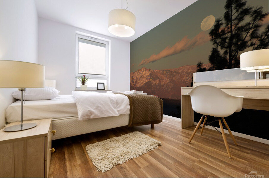 moonfullwhitemtnpk Mural print