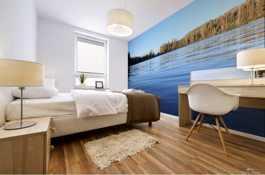 McLeodLake Mural print
