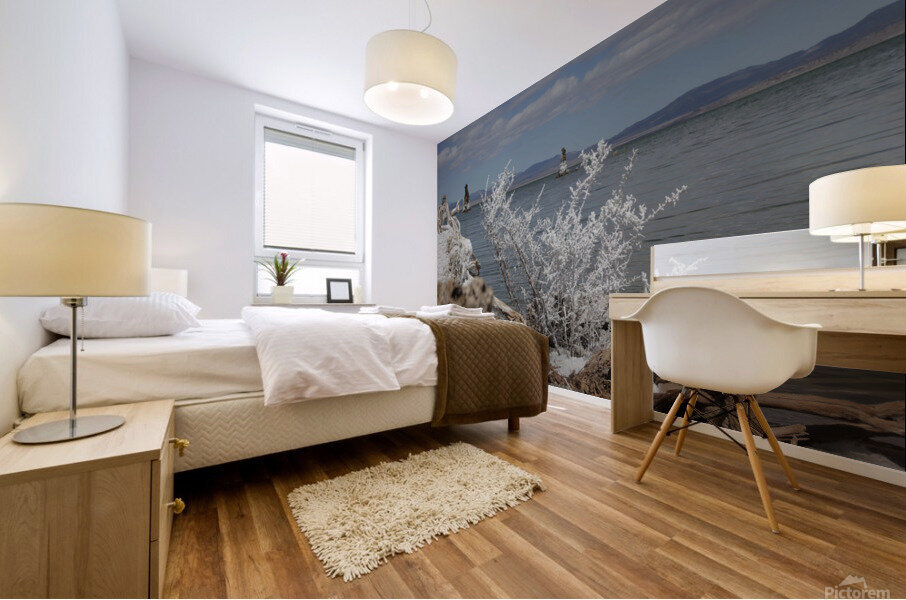 MonoLakeWhiteBrush Mural print