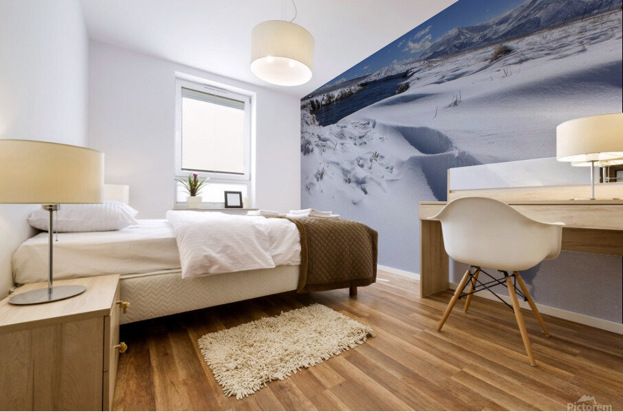 owenssnowdrift Mural print