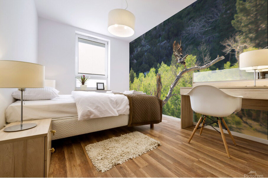 Golden Eagle Mural print