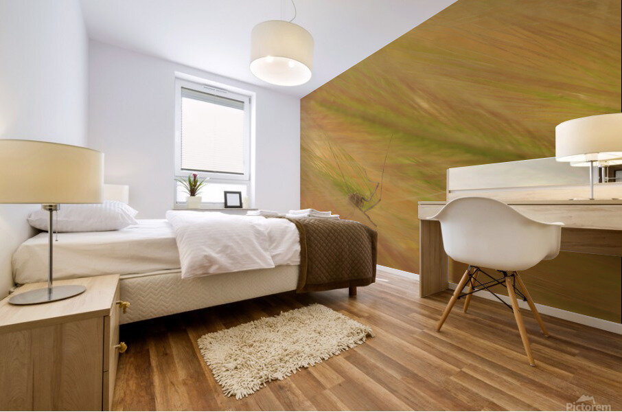 Spider Grass  Mural print