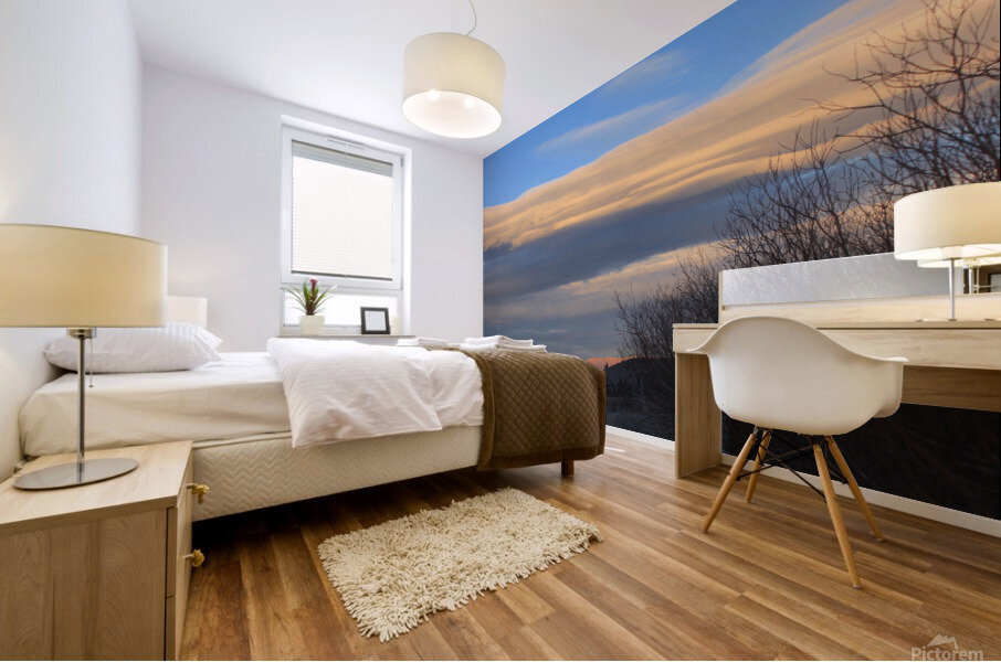 sunsetLenticularjan2021 Mural print