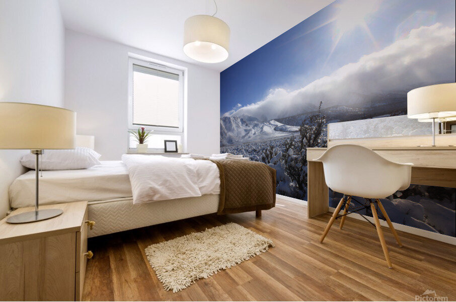 snowsunsage Mural print