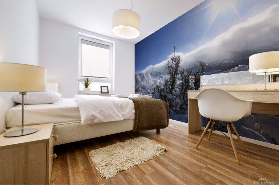 sagesnow Mural print