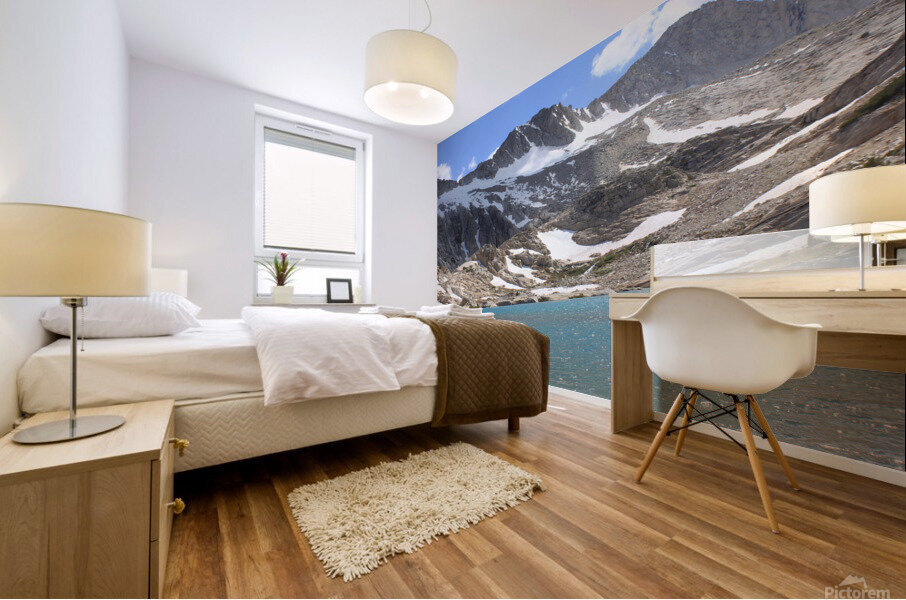 seagullakeconess 2 Mural print