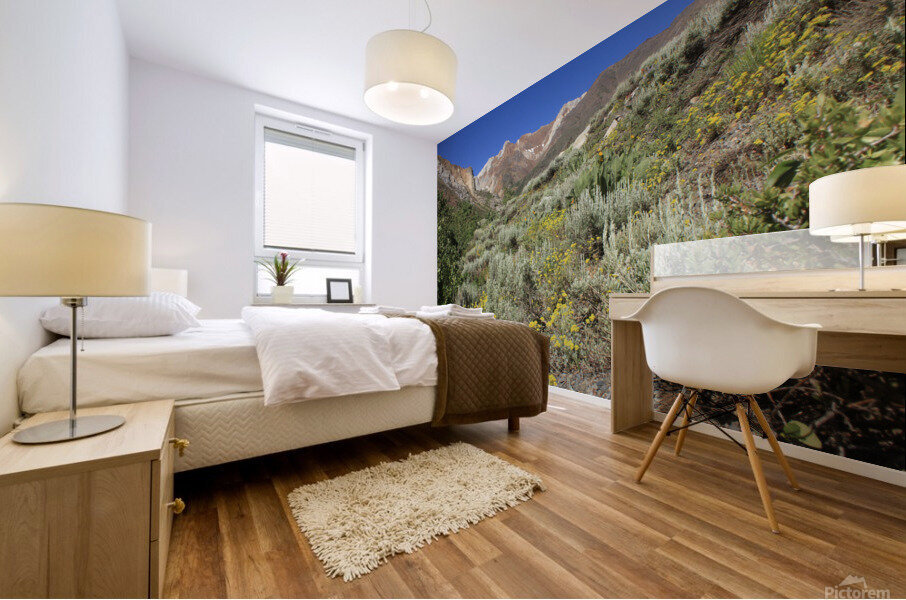 McGee Canyon Mural print