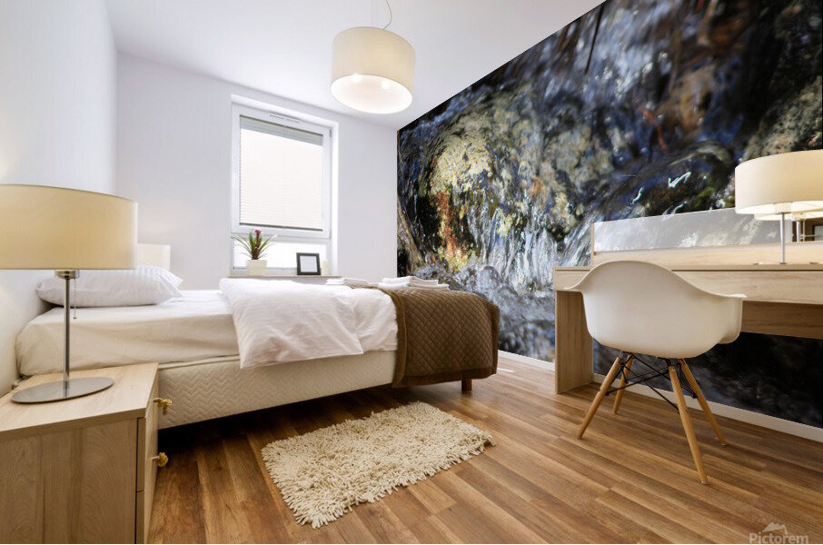Water Flowing Mural print
