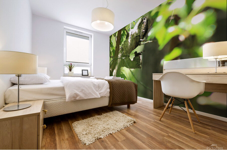 Humbirdnest Mural print