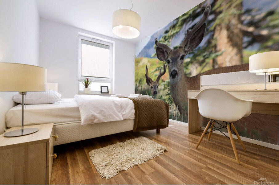 Deer  Bucks Mural print