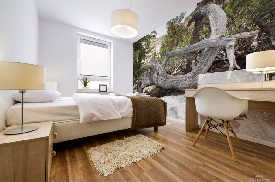 Tree Root Mural print
