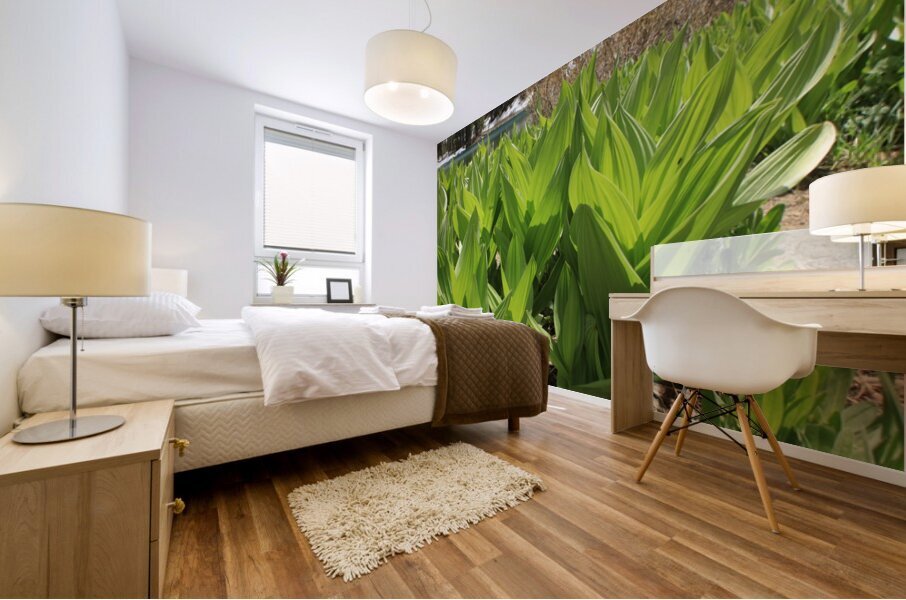 California Corn Lilly Mural print