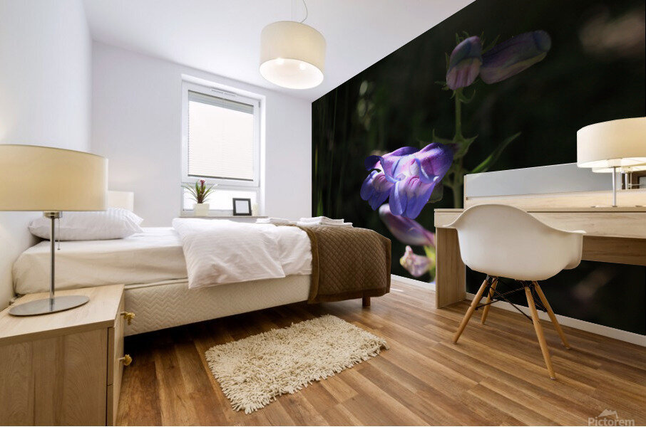 Penstemon Flower Mural print